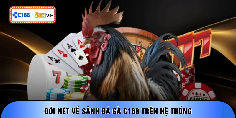Đôi nét về sảnh đá gà C168 trên hệ thống