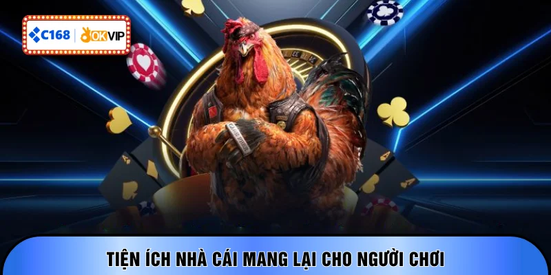 Tiện ích nhà cái mang lại cho người chơi
